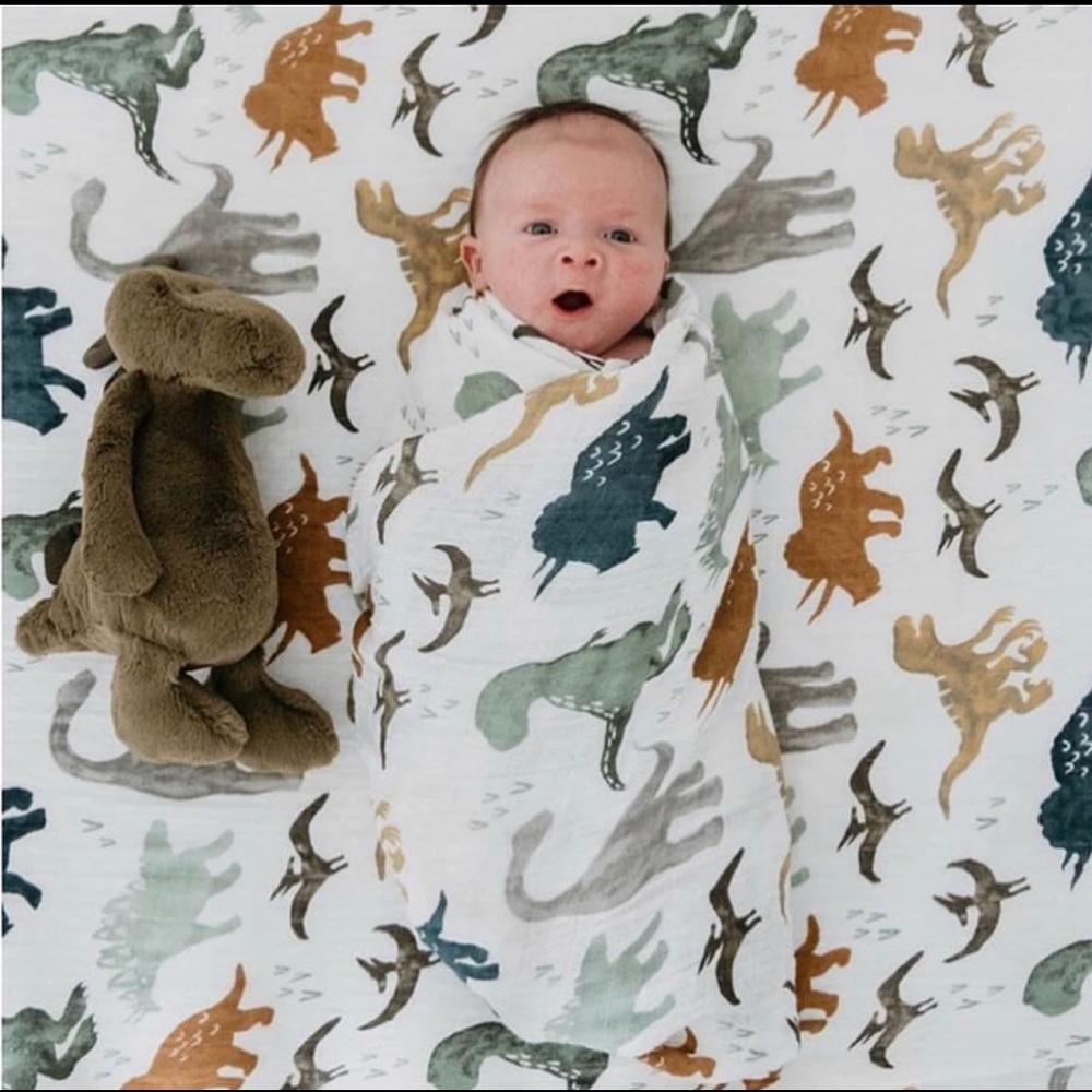 Dinosaur Muslin Blanket